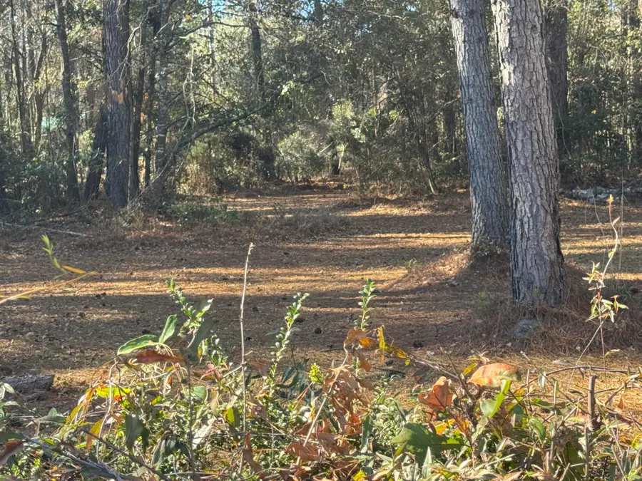 1002 Poplar Street, Walterboro, SC 29488 - Image #2