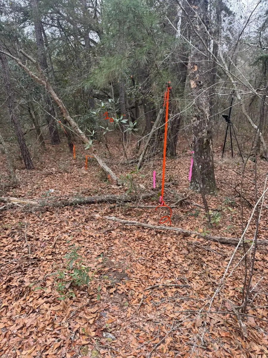 0 Sidneys Road, Round O, SC 29474 - Image #3