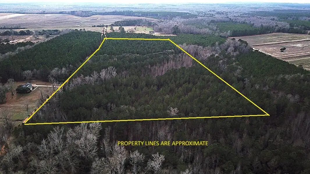 00 Raymond Rd Road, Orangeburg, SC 29118 - Image #1