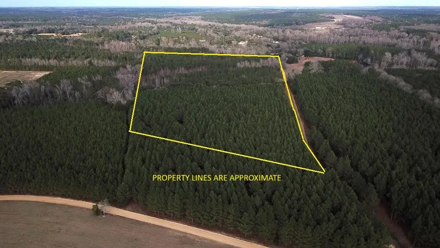 00 Raymond Rd Road, Orangeburg, SC 29118 - Image #2