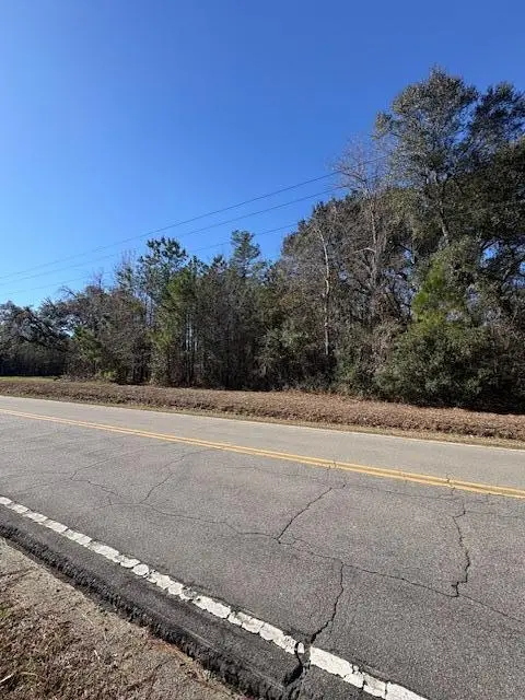 0 Broughton Road, Moncks Corner, SC 29461 - Image #3