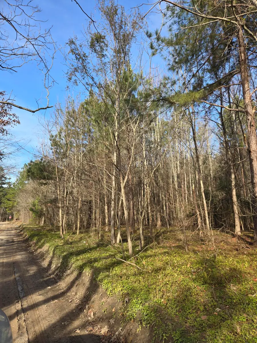 00 Whitestone Drive, Reevesville, SC 29471 - Image #2