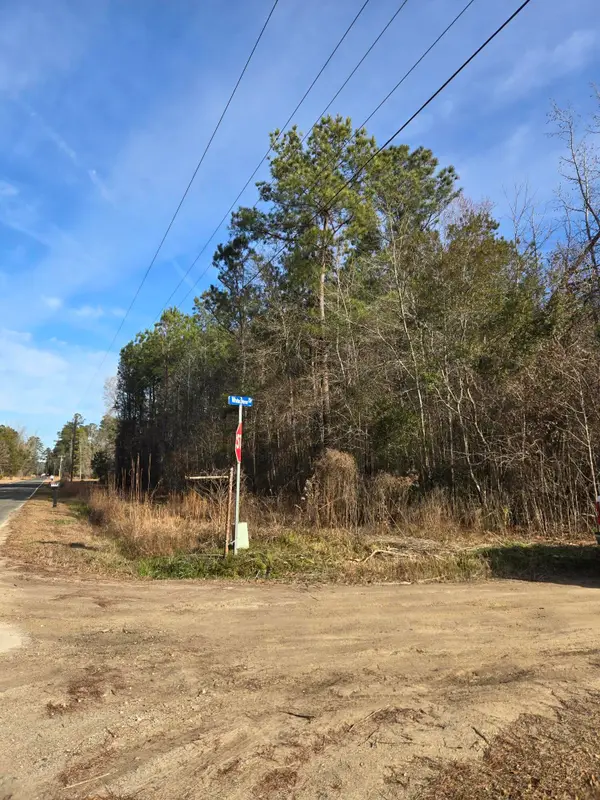 0 Whitestone Drive, Reevesville, SC 29471