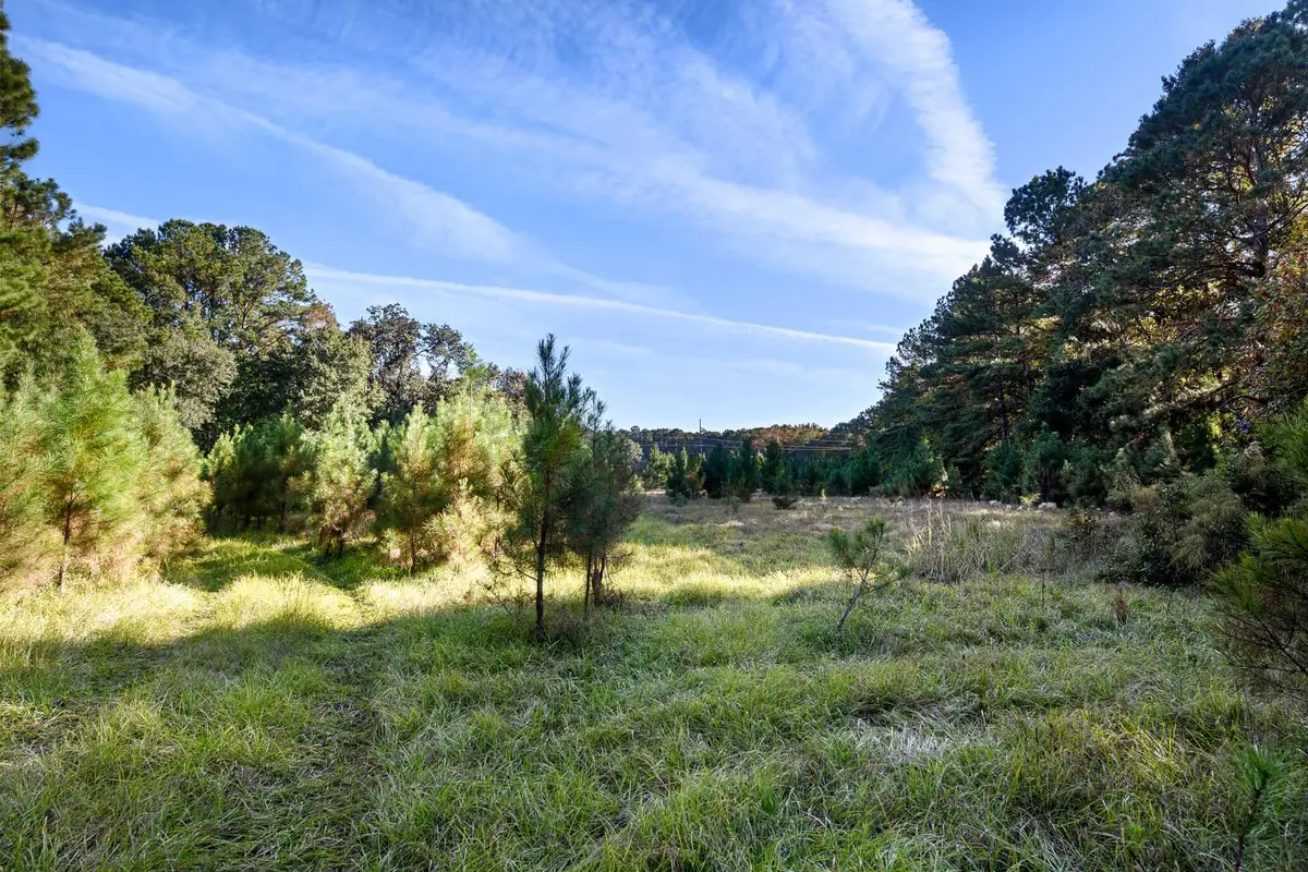 2476 Joseph Pearline Road, Johns Island, SC 29455 - Image #1