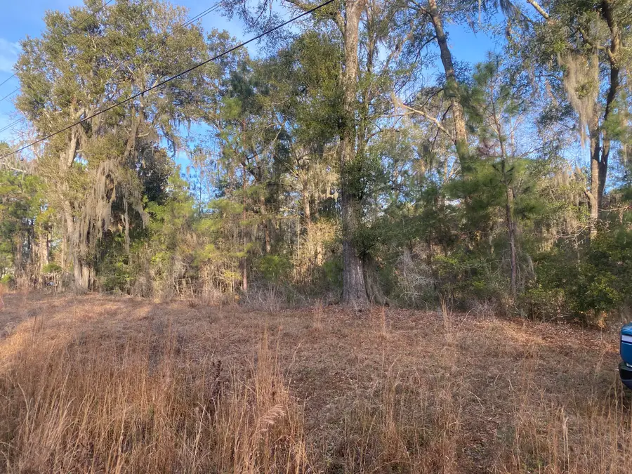 1970 Liberia Road, Wadmalaw Island, SC 29487 - Image #2