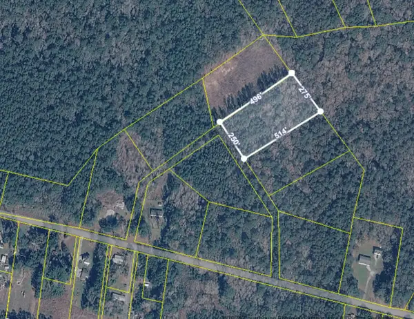0 County Line Road, Ravenel, SC 29470