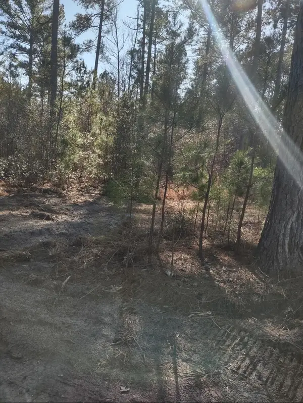 71 Breanna Court, Cottageville, SC 29435