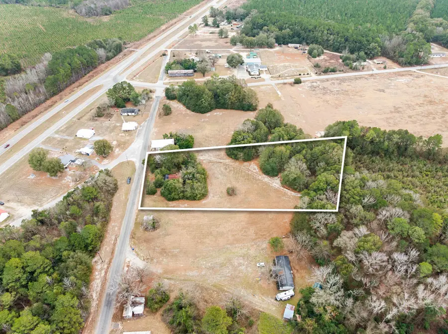 5033 Screw Pin Road, Blenheim, SC 29516 - #3