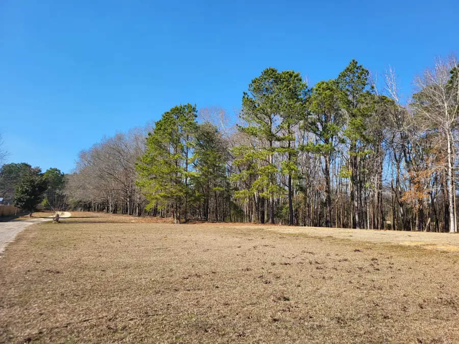 Lot 1 Santee Lumber Road, Santee, SC 29142 - #2