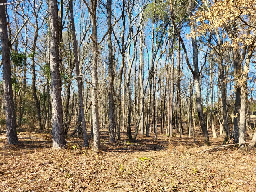 Lot 2 Santee Lumber Road, Santee, SC 29142 - #3