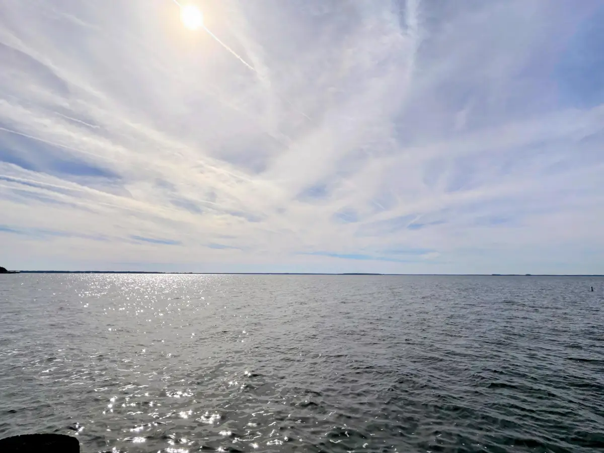 105 Mourning Dove Drive, Bonneau, SC 29431 - #1