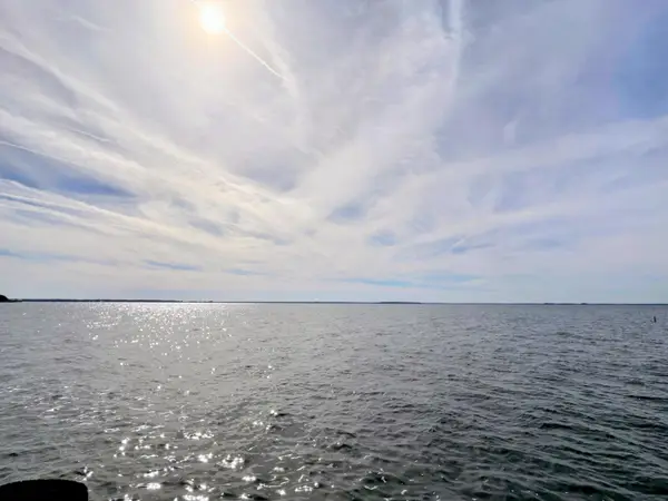 105 Mourning Dove Drive, Bonneau, SC 29431