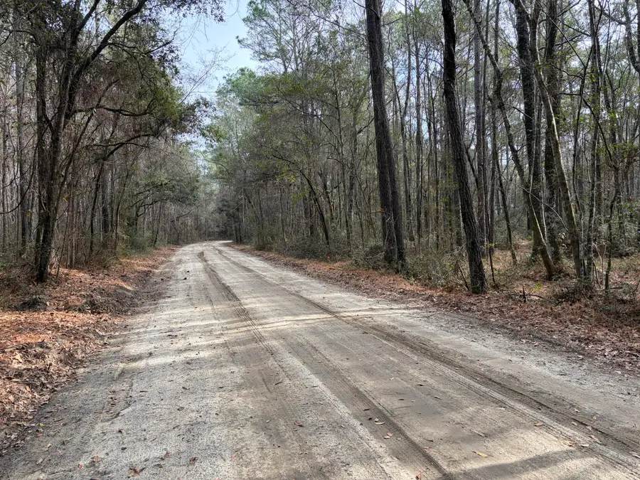 0 Hercules Lane, McClellanville, SC 29458 - #2