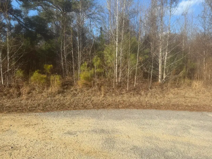 000 Flake Road, Orangeburg, SC 29115 - Image #3
