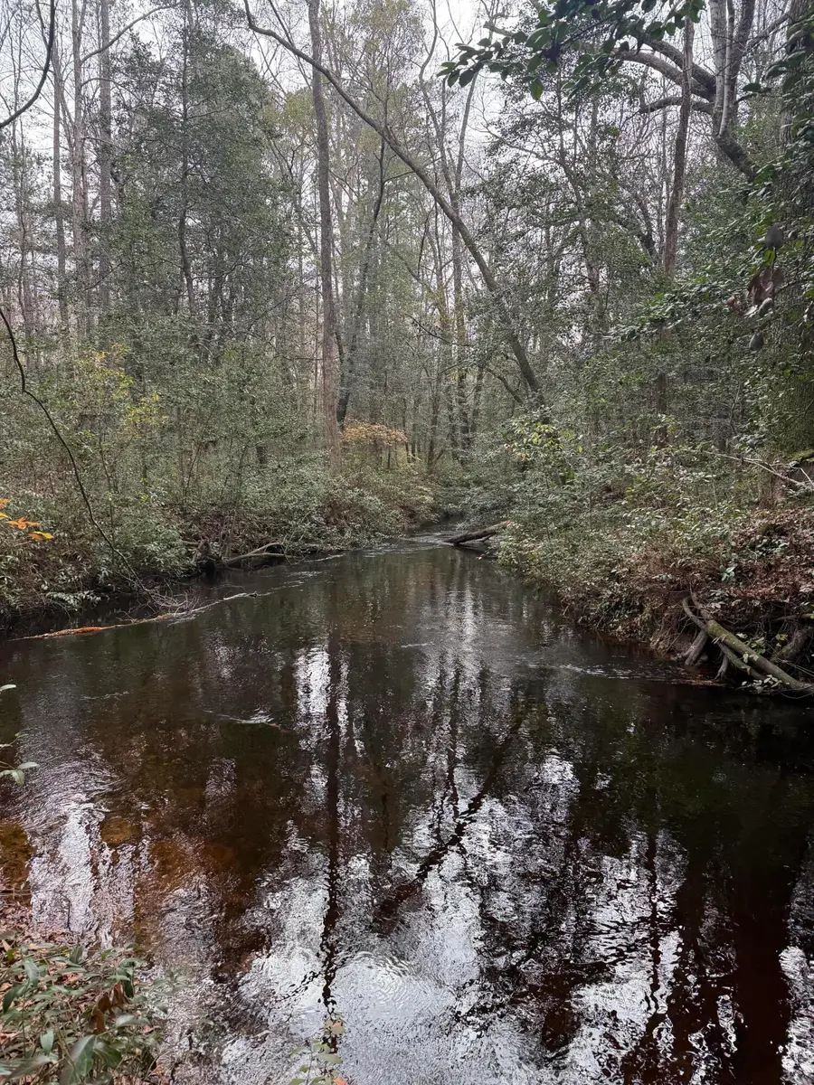 675 Vaughns Mill Pond Road, Camden, SC 29020 - #2