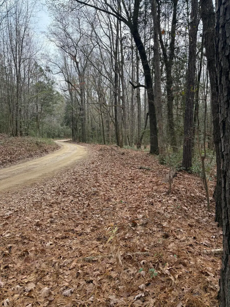 675 Vaughns Mill Pond Road, Camden, SC 29020 - #3