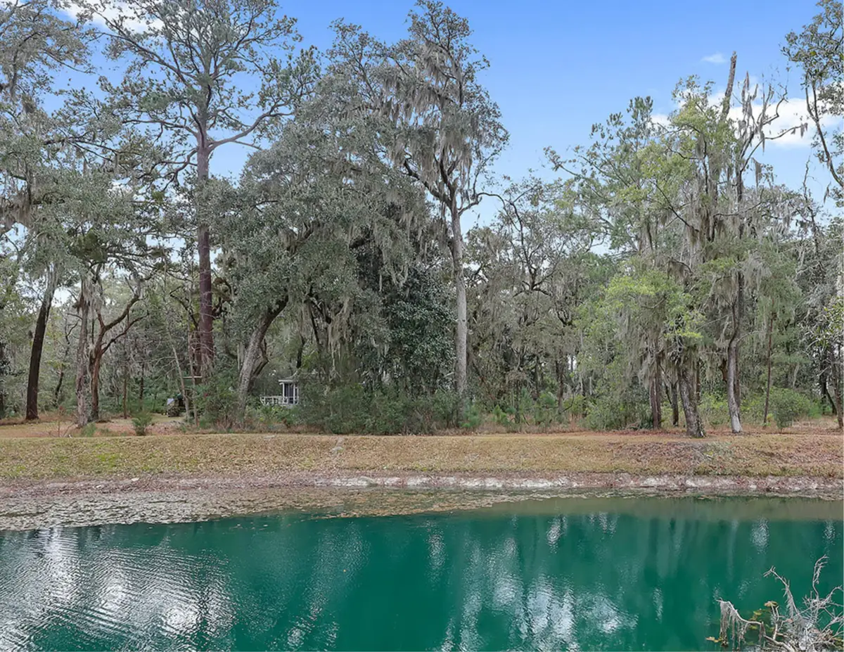 175 Bull Point Drive, Seabrook, SC 29940 - #1