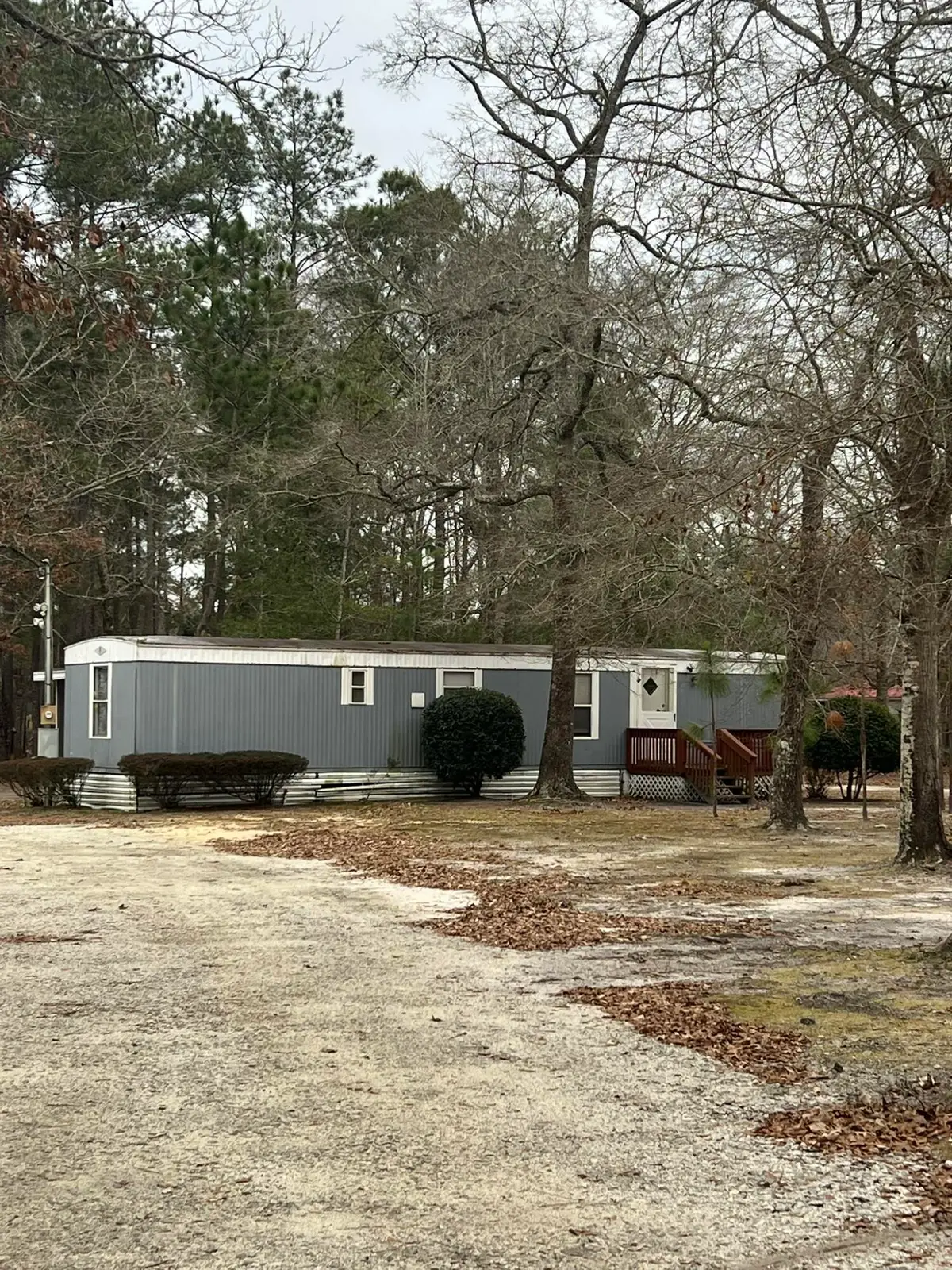 00 Turner Lane, Round O, SC 29474 - #1