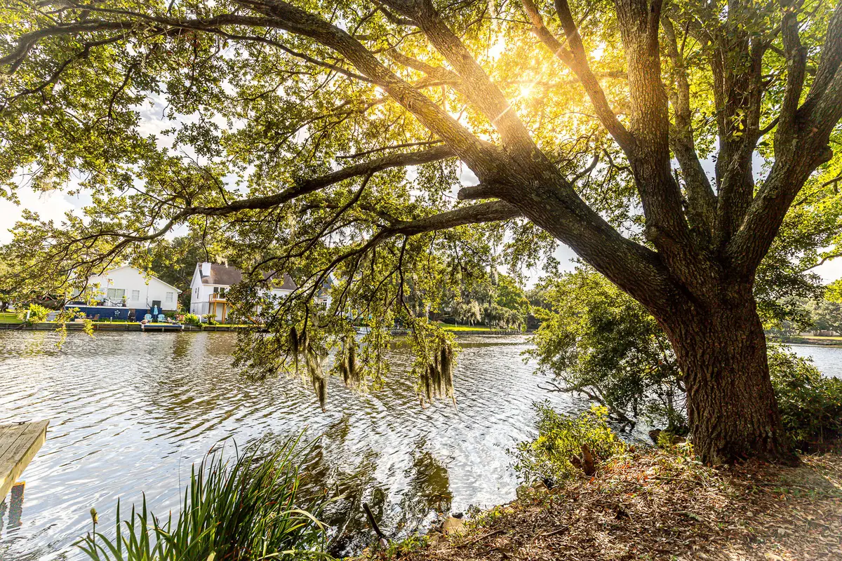 713 Lake Frances Drive, Charleston, SC 29412 - Image #1