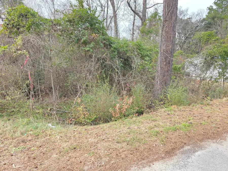 0 Mitten Road, Moncks Corner, SC 29461 - Image #3