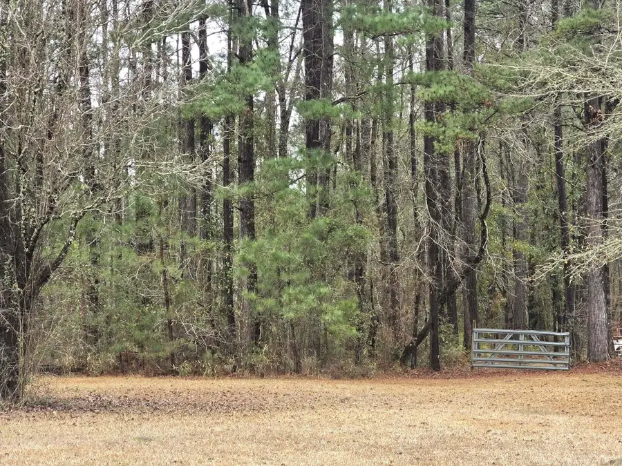 1205 Hard Pinch Road, Moncks Corner, SC 29461 - Image #2