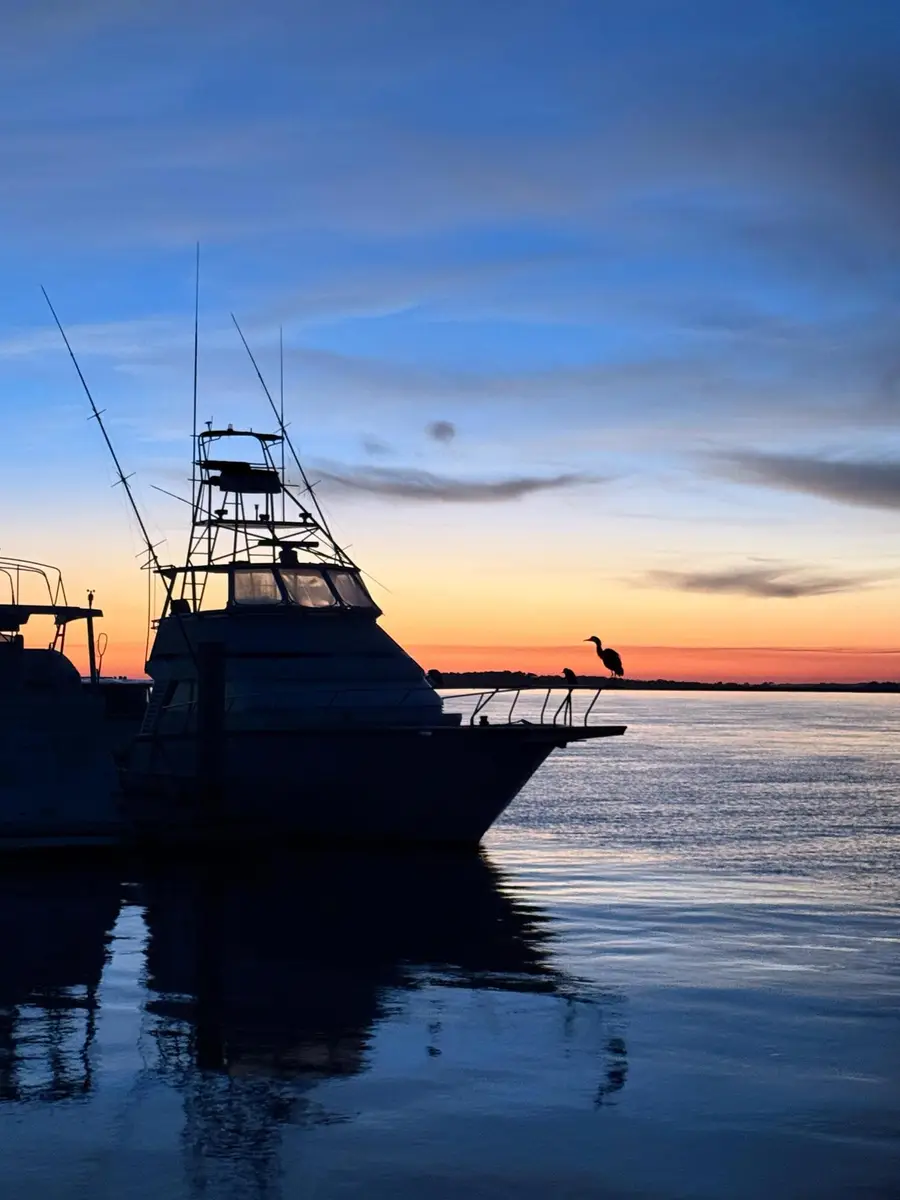 67 W 10th Street #E-3, Folly Beach, SC 29439 - #2