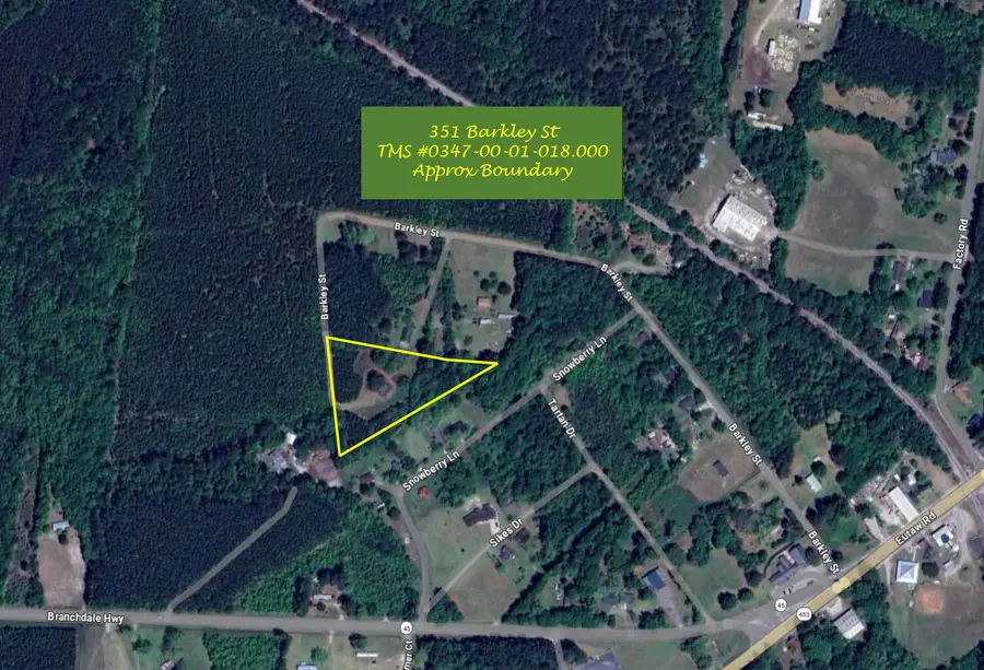 351 Barkley Street, Eutawville, SC 29048 - #3