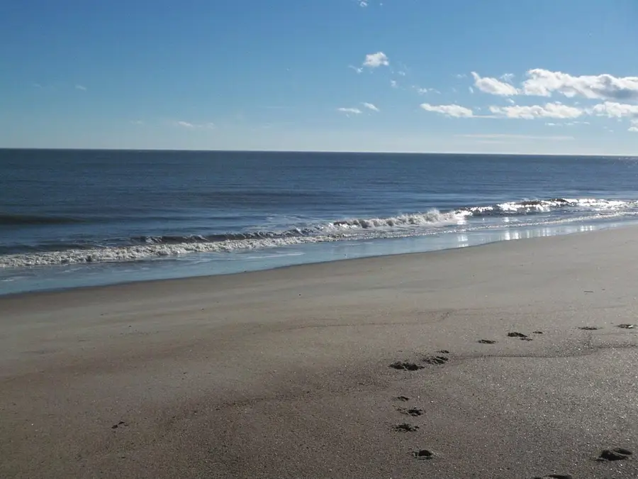 1408 Jungle Road, Edisto Island, SC 29438 - #2