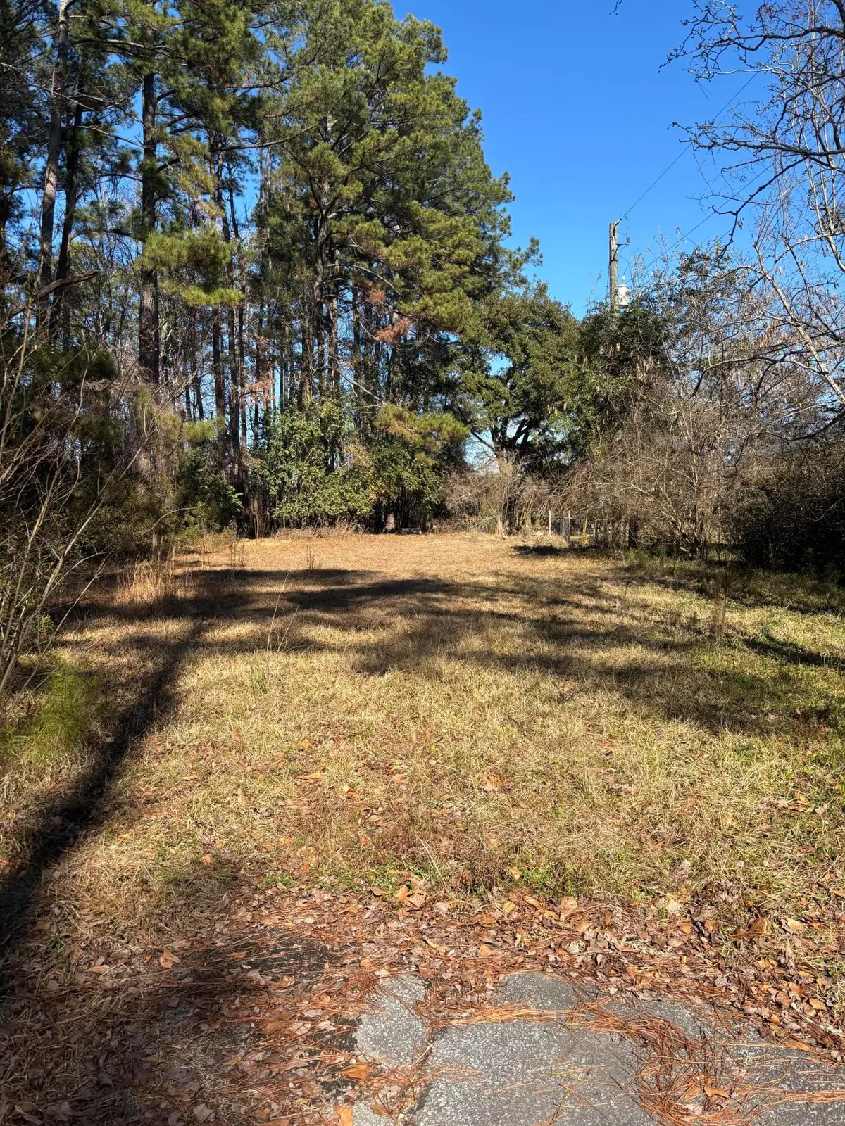 308 Peachtree Road, Walterboro, SC 29488 - #1