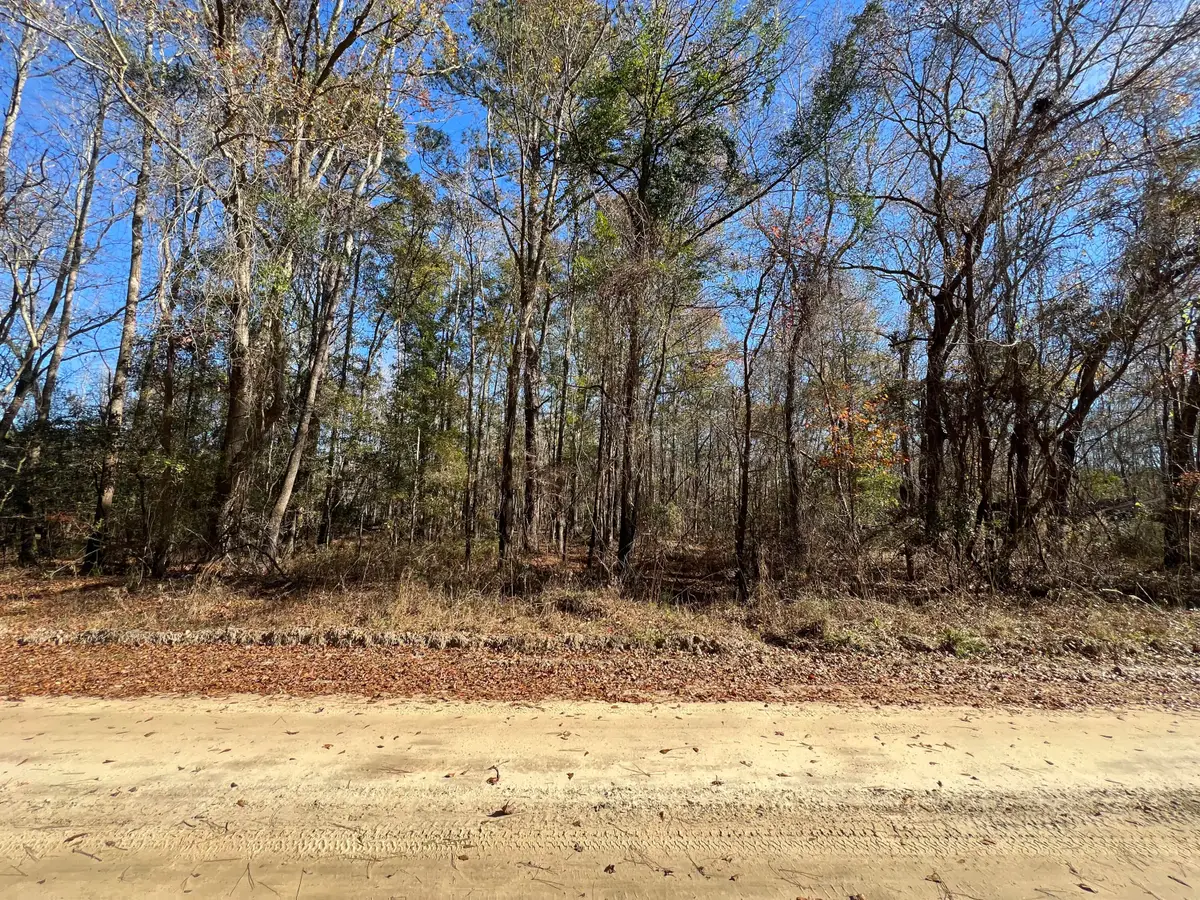 0 Vancouver Road, Bowman, SC 29018 - #1