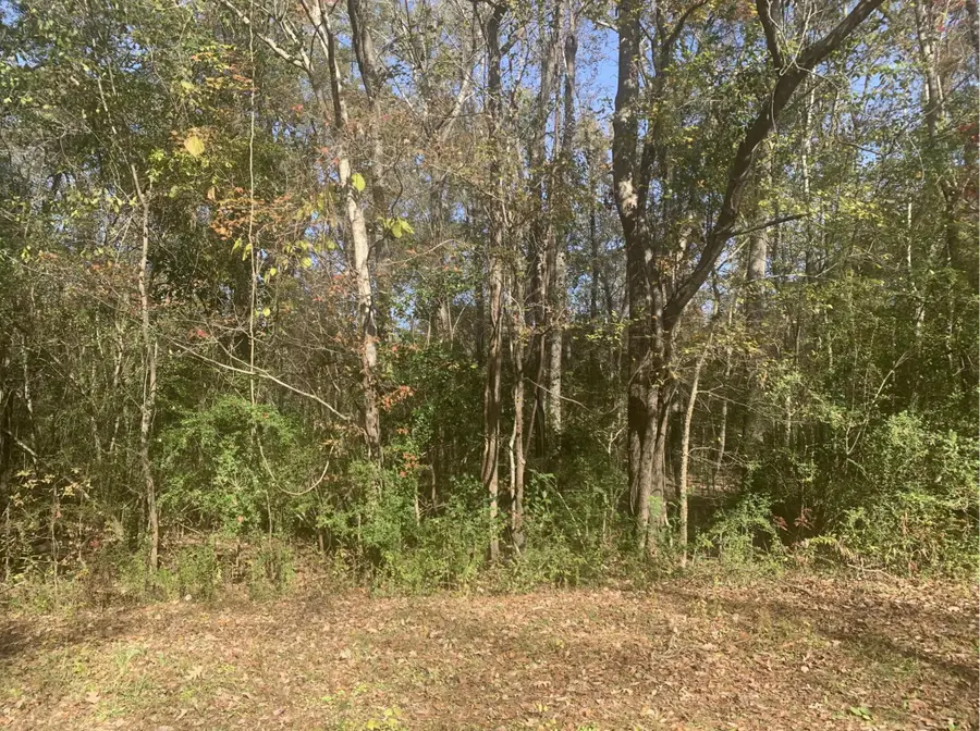 Lot 21 Mary Ellie Drive, Summerville, SC 29483 - Image #2
