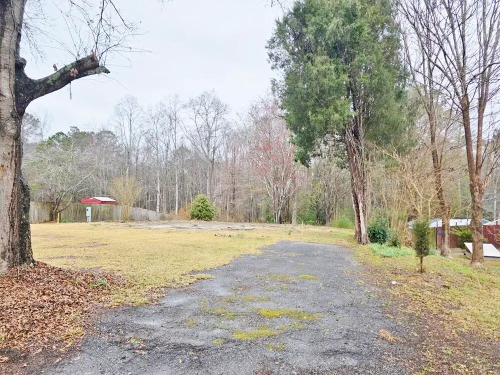 324 E E. Poplar Branch Drive, Moncks Corner, SC 29461 - #1