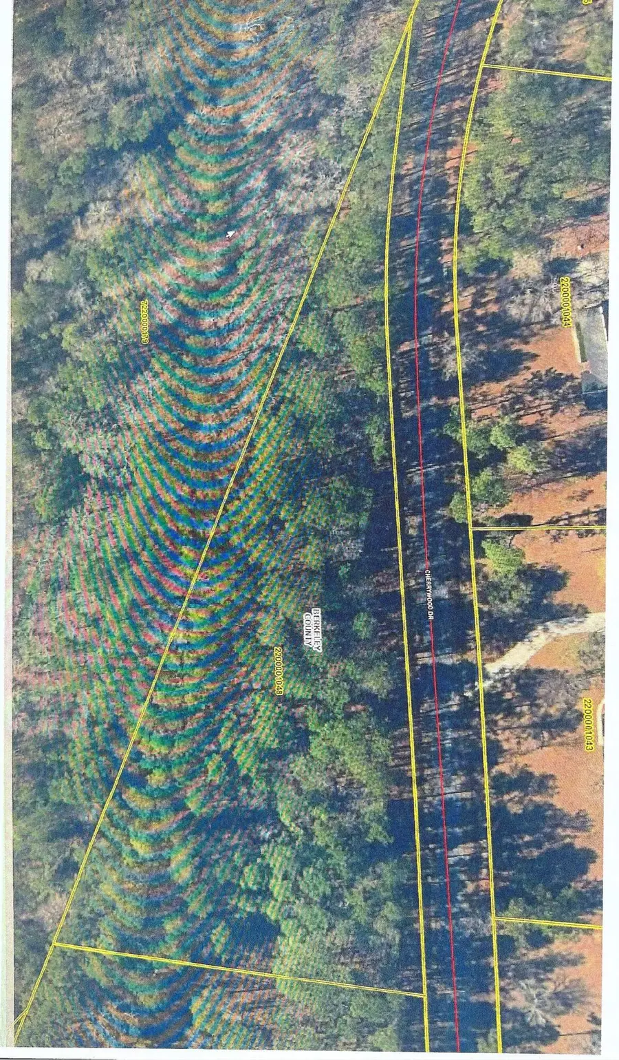 117 Cherrywood Drive, Summerville, SC 29483 - Image #2