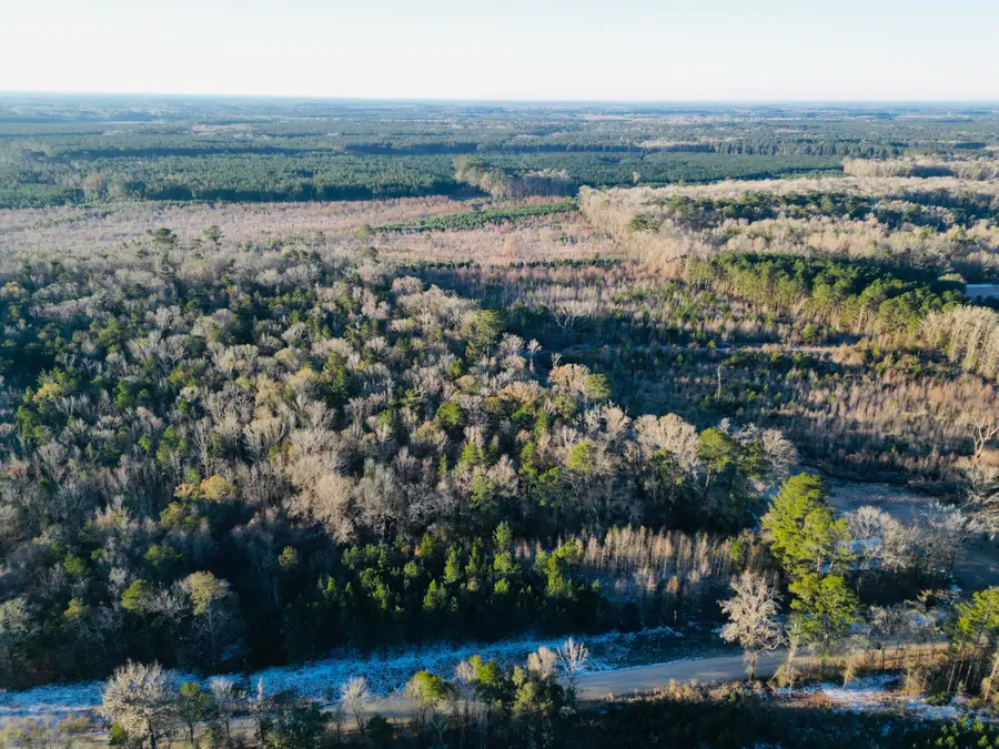 00 Hyde Park Road, Adams Run, SC 29426 - #3