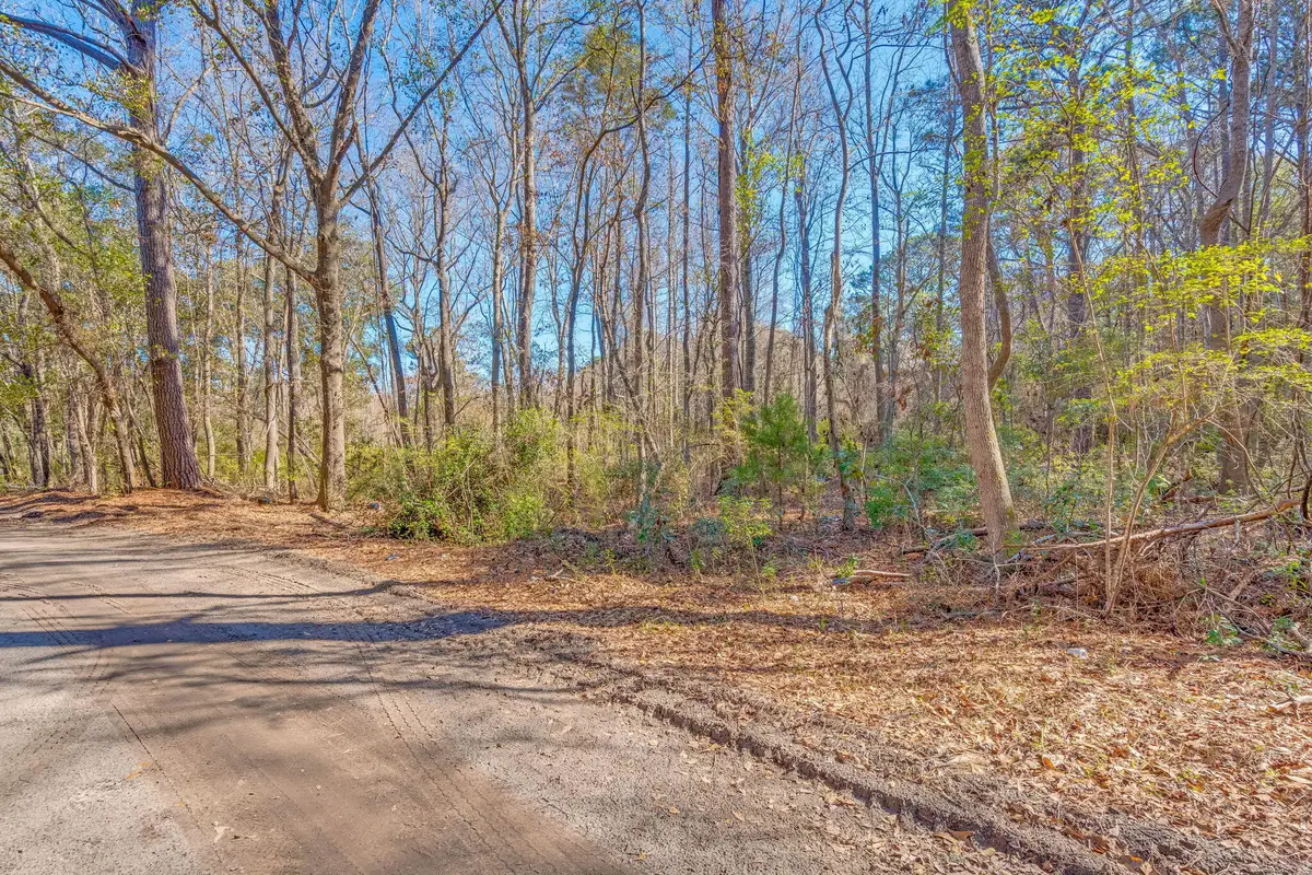 3149 Thomas Jones Road, Johns Island, SC 29455 - Image #1