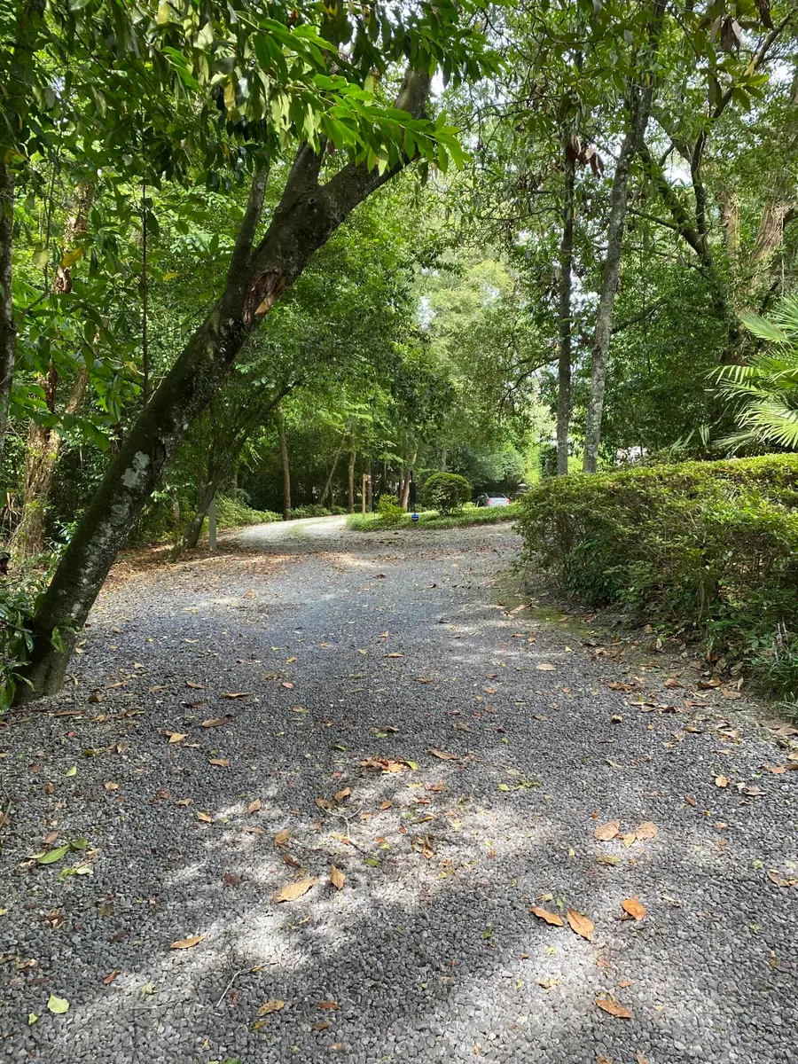 523 W Carolina Avenue, Summerville, SC 29483 - Image #3