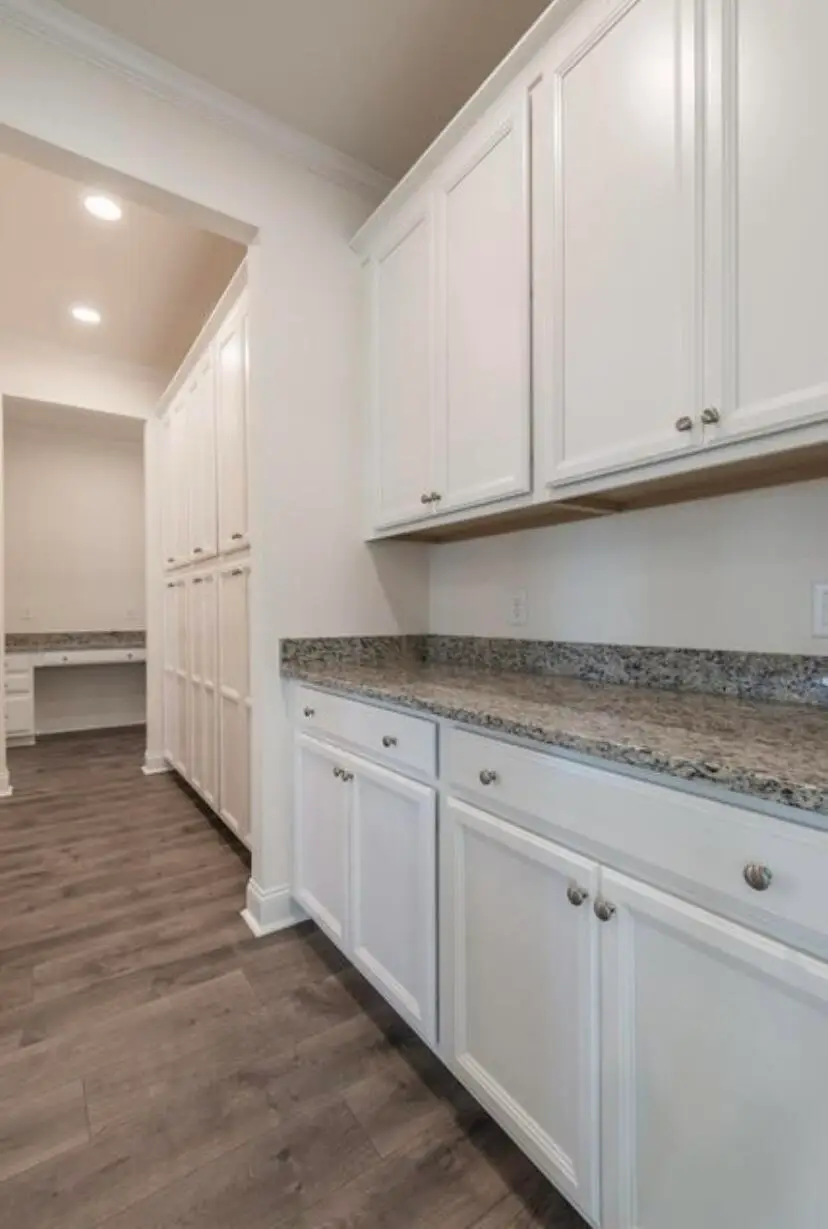 1056 Red Turnstone Run, Summerville, SC 29485 - Image #3