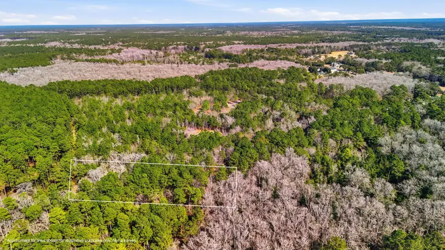 0 Gertie Lane, Cordesville, SC 29434 - #3