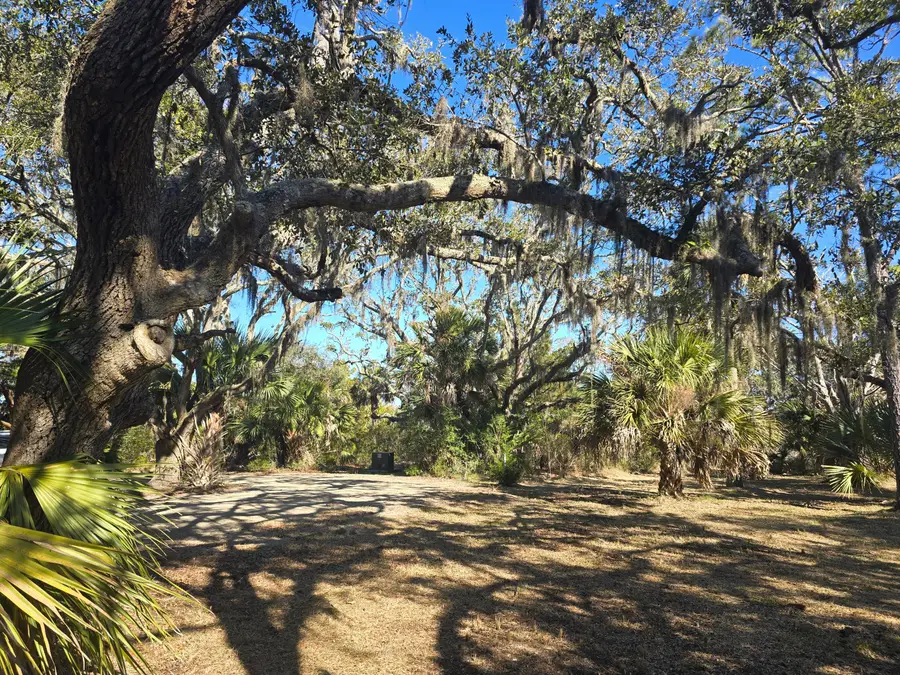 58 Painted Bunting Trail, Edisto Island, SC 29438 - #2