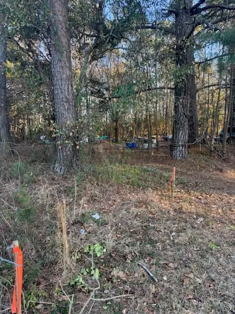 0 Central Avenue, Summerville, SC 29483 - #2