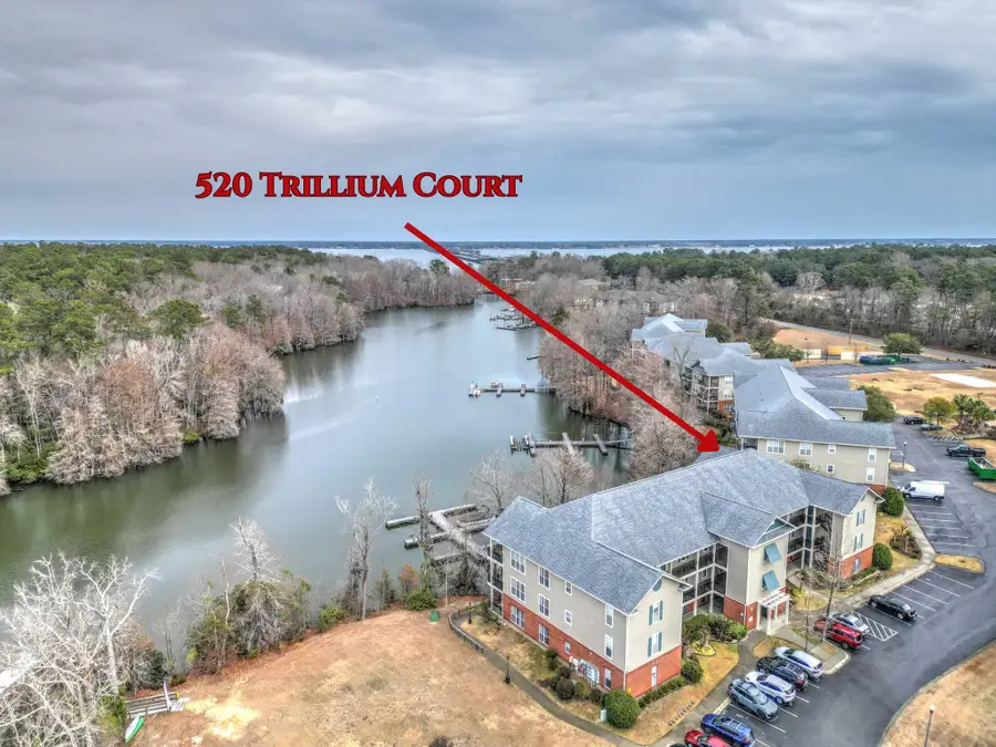 520 Trillium Court, Santee, SC 29142 - #2