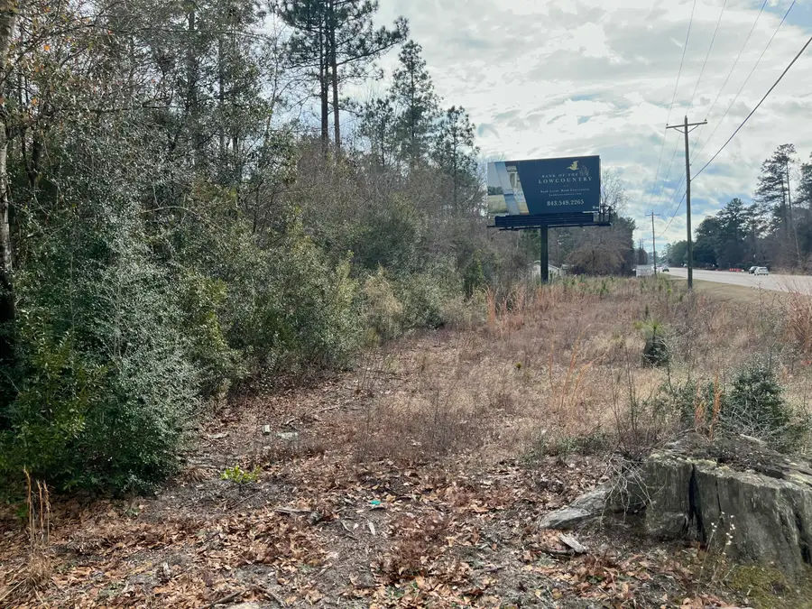101 Driggers Lane, Walterboro, SC 29488 - #2