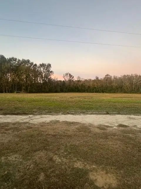 2532 Mg Hemingway Road, Summerton, SC 29148 - #3