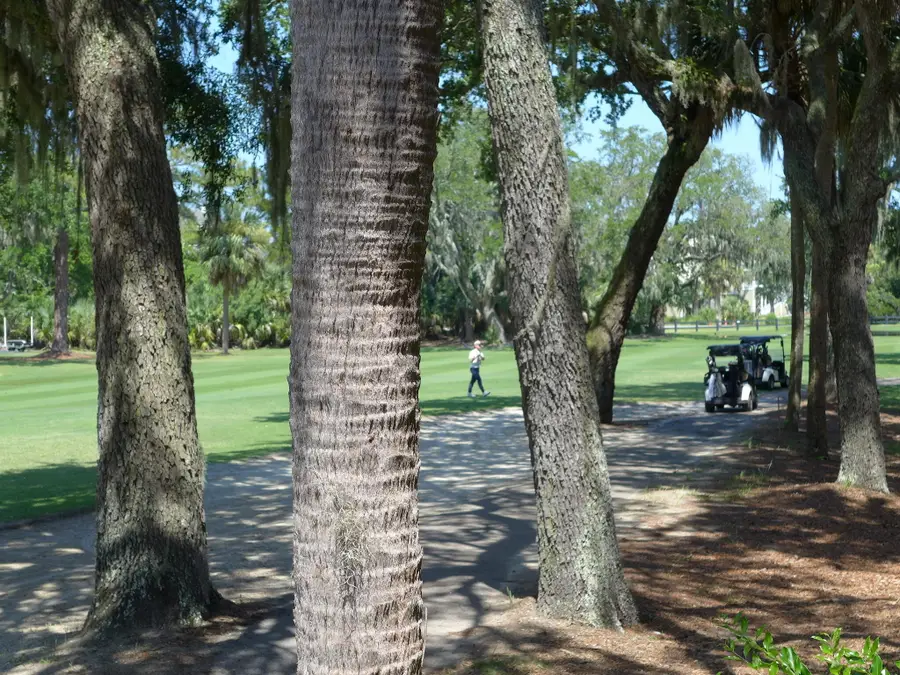 258 Driftwood Lane, Edisto Island, SC 29438 - #3