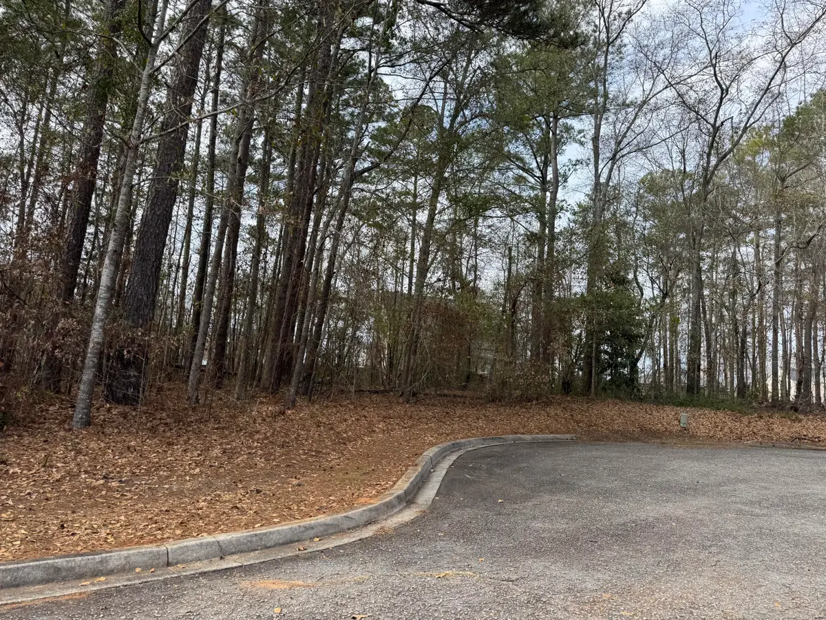 010 Aster Court, Orangeburg, SC 29115 - #1