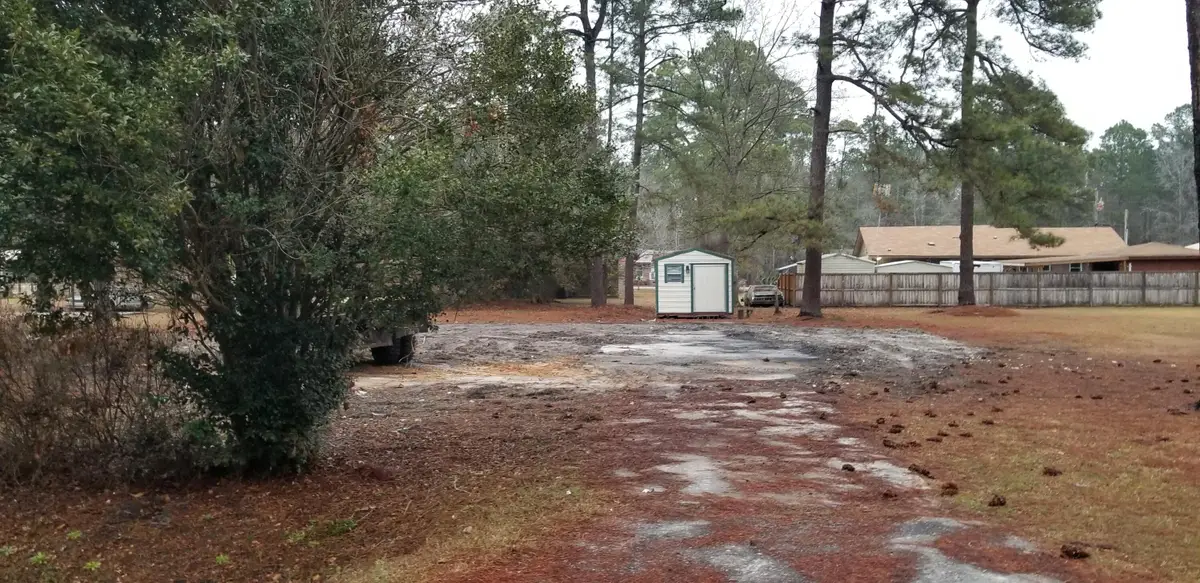 309 Pine Needle Road, Walterboro, SC 29488 - #1