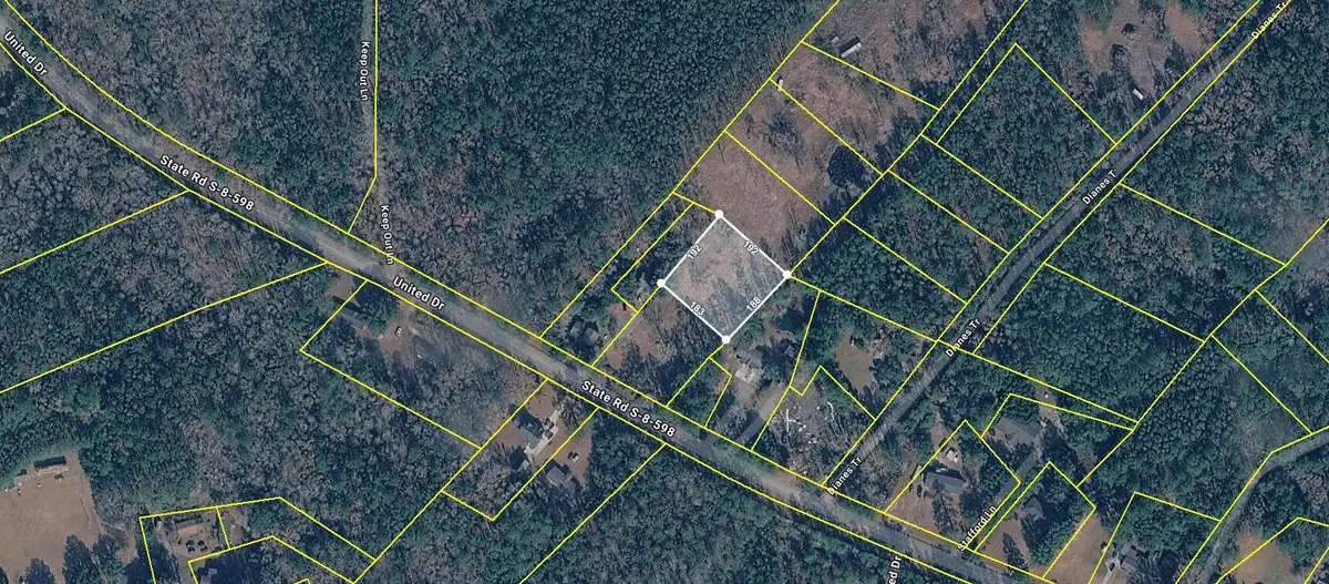 Lot 2- 115 Hendorrich Trail, Huger, SC 29450 - #1