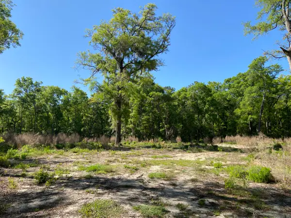 6079 Josie Ridge Road, Wadmalaw Island, SC 29487