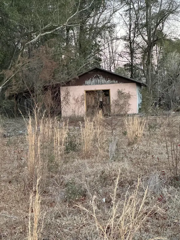 0 Hampton Street, Branchville, SC 29432