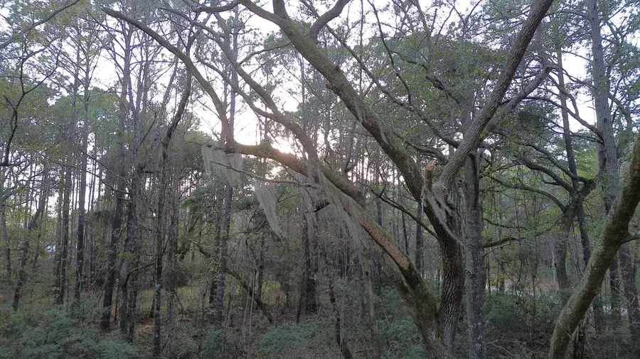 0 Two Pines Road, McClellanville, SC 29458 - #2